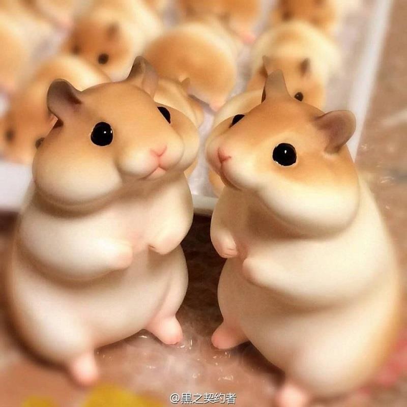 hamster japanese bread bakery cute rolls shaped food adorable 9gag hamsters japan produces ハムスター パン realistic choose board funny scontent